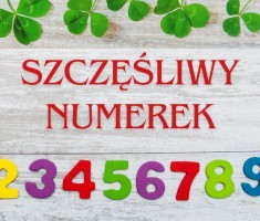 Powiększ zdjęcie