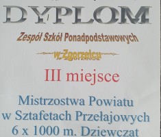 Powiększ zdjęcie Pamiątkowy%20dyplom%20dziewcząt