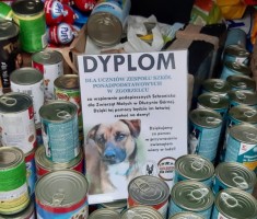 Powiększ zdjęcie