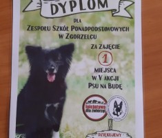 Powiększ zdjęcie