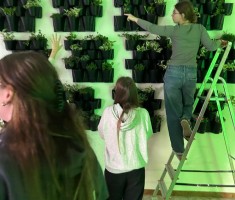 Powiększ zdjęcie zdjęcie do artykułu o ogrodach wertykalnych